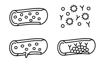 Different stages of a bacterial cell's response to its environment shown in four illustrations with various cellular changes