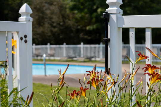white fence and flowers