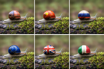 Collage of six snails on a mossy log, each with its shell painted with a different country's flag.