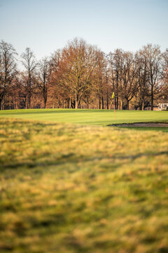 Golf green with yellow flag at golden hour, bare trees and calm parkland course in background