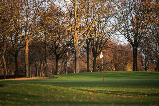 Golf flag on green at golden hour with bare trees and soft evening light in parkland course