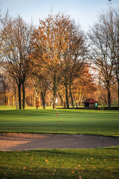 Golf flag on green at golden hour with bare trees and soft evening light in parkland course