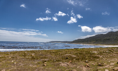 on the beach near Hout Bay, Cape Town, South Africa