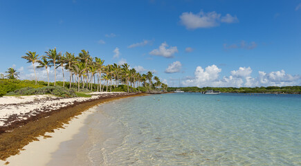 Lagoon of Petite Terre islet - Caribbean island Guadeloupe