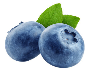 Blueberry isolated, full depth of field