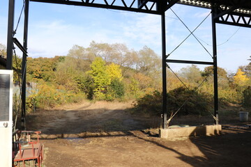 Fototapeta premium 那須ワールドモンキーパーク、那須、栃木県