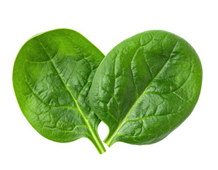 Obraz premium Two vibrant, heart-shaped spinach leaves, isolated against a solid black background