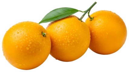 Trio of ripe oranges with green leaves and water droplets, isolated subject with transparency for creative layouts high quality png
