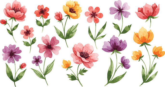 Vibrant flowers in full bloom, showcasing a variety of colorful petals and lush greenery in a serene setting.