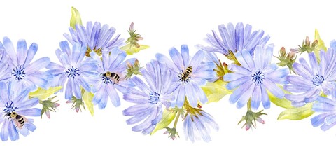 Fototapeta premium Seamless horizontal border with pastel blue flowers chicory, stems and leaves, watercolor illustration on isolated background. pattern source of decaffeinated drink for healthy eating and vegan diet