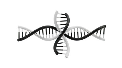 Intertwined Black and White DNA Double Helix Structures