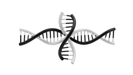 Intertwined Black and White DNA Double Helix Structures