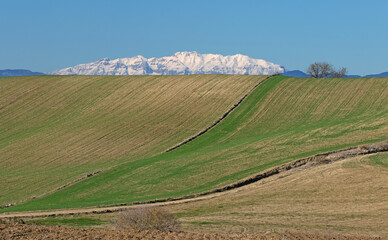 Fototapeta premium Winter landscape scene from fields planted with winter wheat in Sarıçam district of Adana, and the distant view of Bolkar Mountains at background