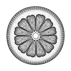 Intricate floral mandala isolated on white background