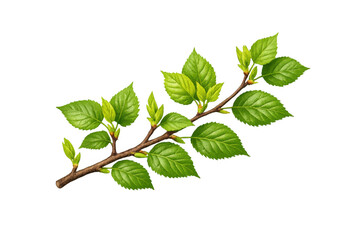 Fototapeta premium Tree branch with fresh green leaves and new buds emerging, symbolizing growth and the arrival of spring ecology with a transparent background