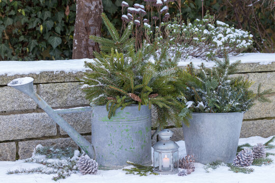 Koniferenzweige in alter Zink-Gie&szlig;kanne und im Zinkeimer im Wintergarten