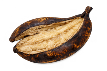Rotten banana splitting open, showing spoiled fruit pulp and dark brown peel, representing food waste and decay on transparent background