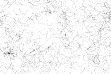 human hair scattered isolated in white background and texture, clipping path