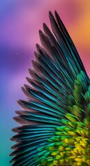 Colorful Bird Feather CloseUp