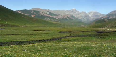 Gr&uuml;nes Hochland des Tian Shan mit Berggipfeln im Hintergrund