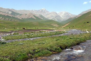 Flusslauf im Hochland des Tian Shan mit Berggipfeln im Hintergrund