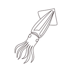 Obraz premium Minimalist Squid line art Illustration