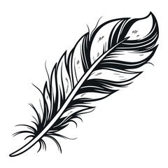 Obraz premium Dynamic black calligraphy brush stroke with expressive splash and artistic flair