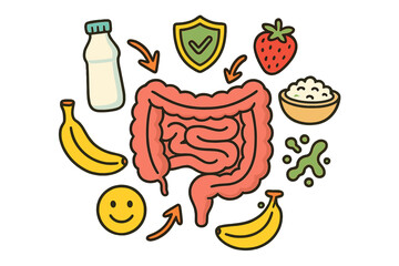 Gut health concepts with digestive organs, food items, and health symbols in a simple design