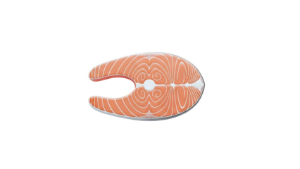 Salmon Steak Illustration