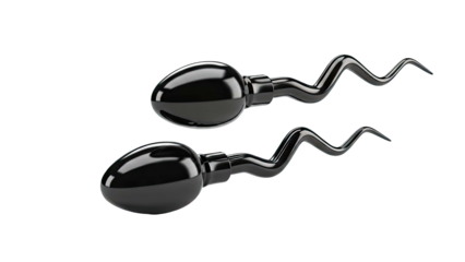 Two Black Sperm Cells on White Background
