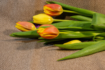 a bouquet of fresh yellow and orange tulips with vibrant green leaves resting on a rustic brown...