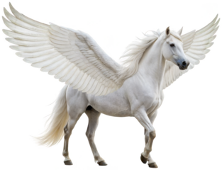 Majestic, powerful, and ethereal white Pegasus with expansive feathered wings, digitally composited with realistic equine anatomy and detailed plumage, depicted, isolated on transparent background.