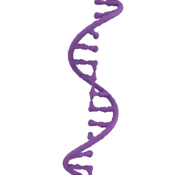 Purple 3d rna molecule structure isolated on transparent background