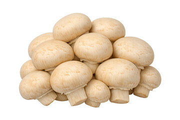 Fototapeta premium Fresh white button mushrooms agaricus bisporus, raw edible fungi, healthy organic food ingredient on transparent background