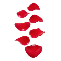 Fototapeta premium Floating red rose petals isolated on transparent background isolated on transparent background