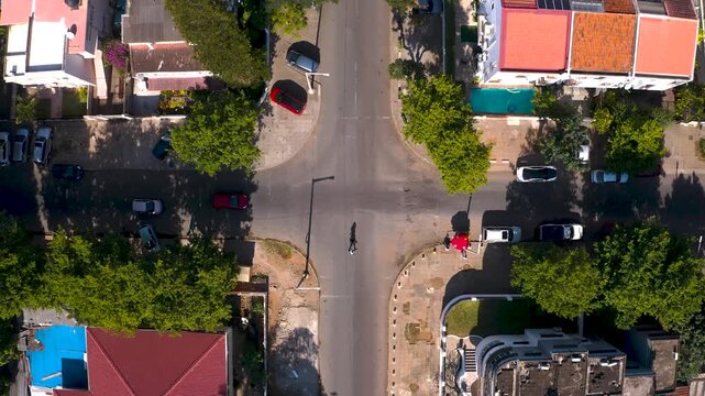 Aerial view of a vibrant street intersection where cars pause amidst lush green trees and colourful buildings, creating a lively urban mosaic, Maputo, Mozambique.