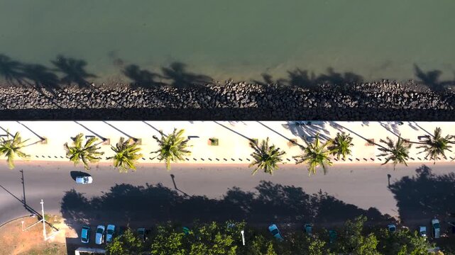 Aerial view of the coastline, palm trees casting long shadows, cars driving, and lush greenery, creating a vibrant scene, Maputo, Mozambique.