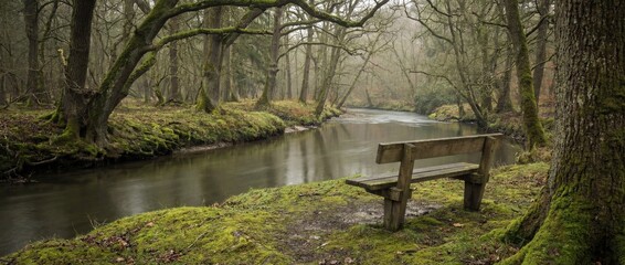 Empty wooden bench by river in misty forest