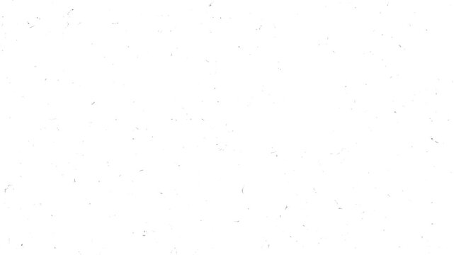 TV snow or noise background. Detuned analog tele visor. Bad Tv Signal - Static tv noise, black and white. Motion graphics of old TV noise concept.