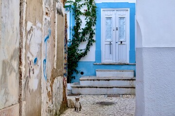 House entrance in the old town of Olhão with a sitting cat in front of it. Olhão, Algarve, Portugal