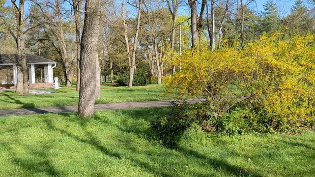 Atazhukinsky Garden (Атажукинский сад) is largest park in north Caucasus. Spring, birds are singing. Nalchik (Нальчик), Russia.