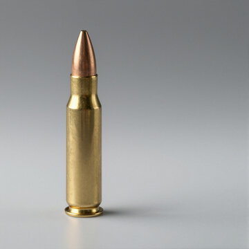Single brass rifle cartridge standing upright with a copper-colored pointed bullet