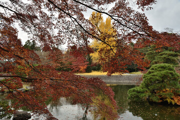 秋の仙洞御所　北池の景色(京都市上京区)