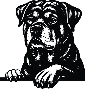 Rottweiler Dog Peeking Silhouette - Peeking Rottweiler Head - Guard Dog Portrait Design, Loyal Canine Peeking