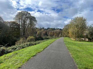 Obraz premium Path in Autumn