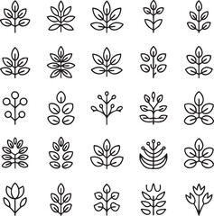 Black and white line of various leafy plants and flowers 3