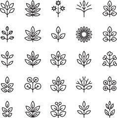 Black and white line of various plants and flowers