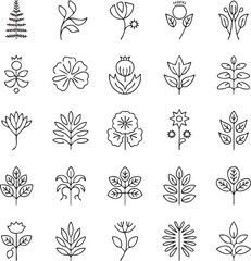Collection of black and white botanical line of plants and flowers
