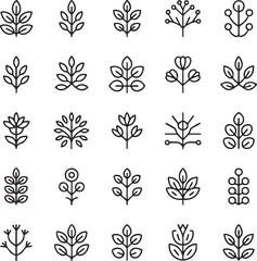 Collection of black and white botanical plant leaves 1