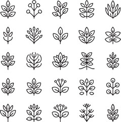 Collection of black and white leaf and plant line botanical 1